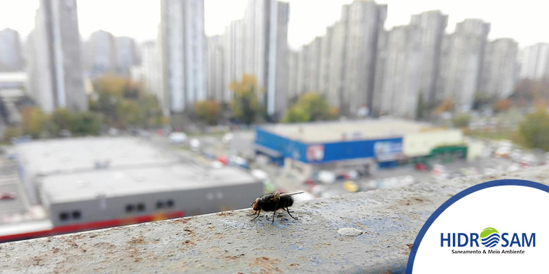 Foto de capa da matéria